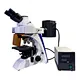 trinocular microscope